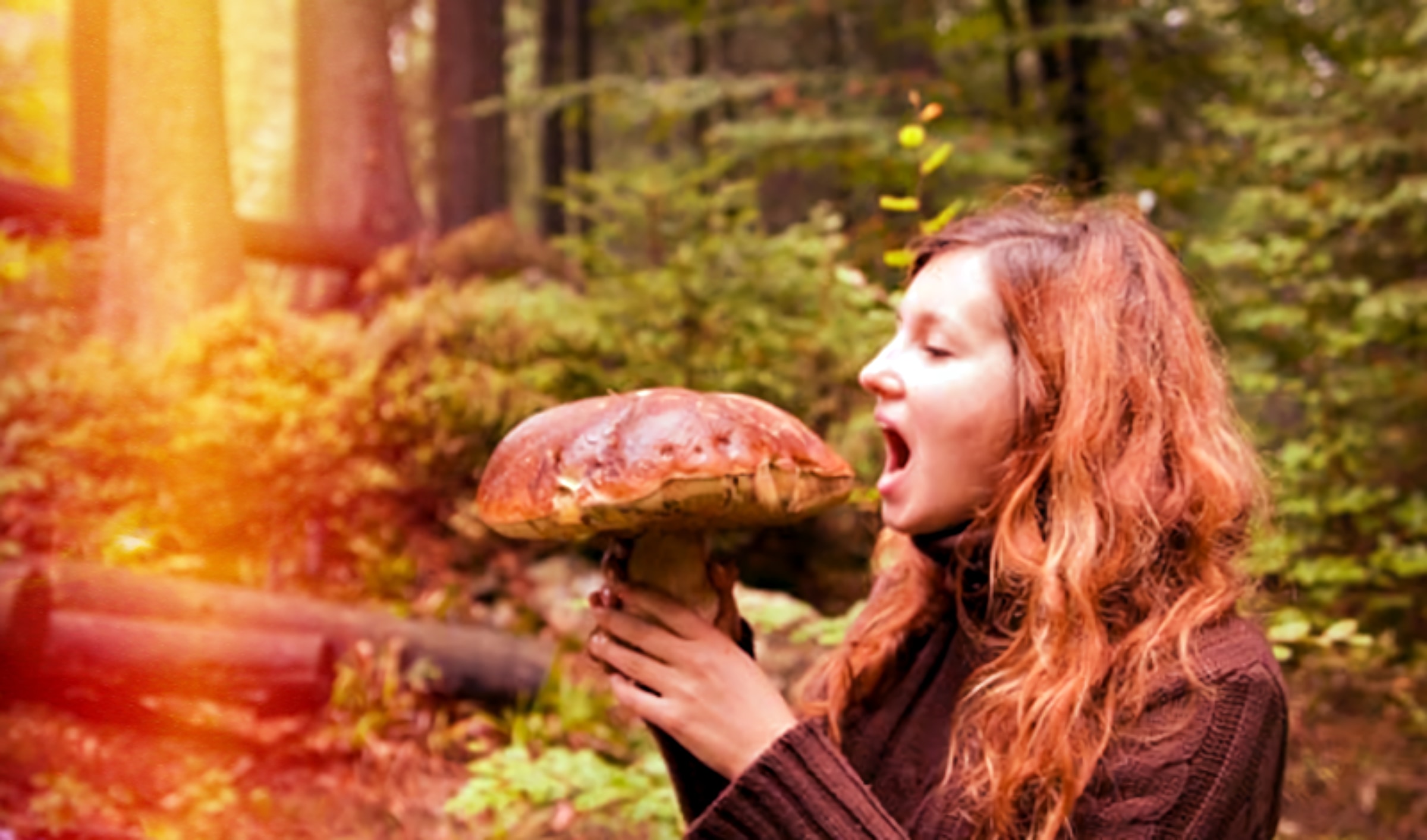 Девушка с грибами в лесу