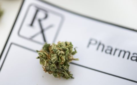 Study Finds Cannabis Dispensaries Reduce Opioid Deaths by 21%
