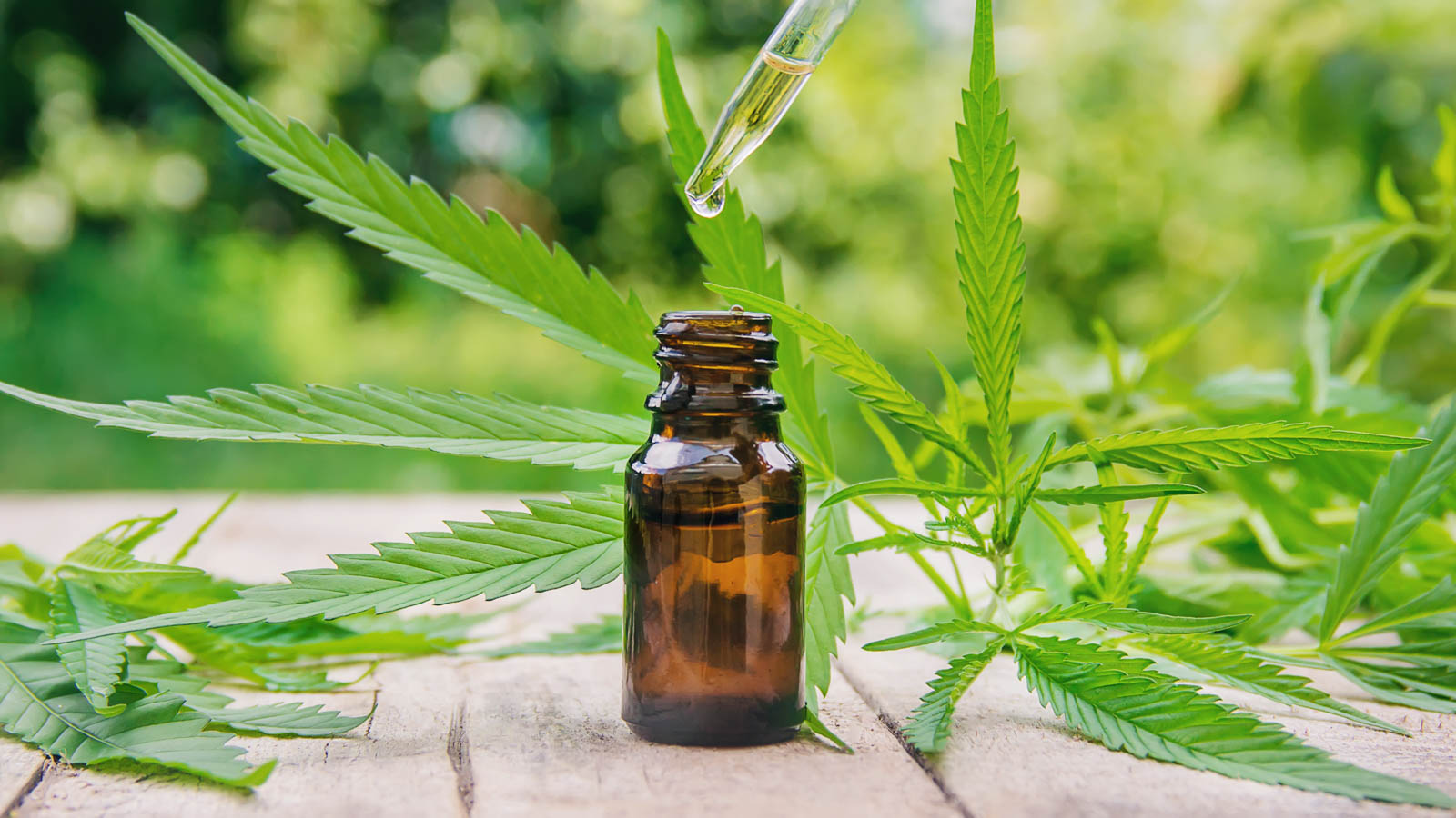 Why CBD Oil Potency Matters and 5 of the Strongest CBD Oils