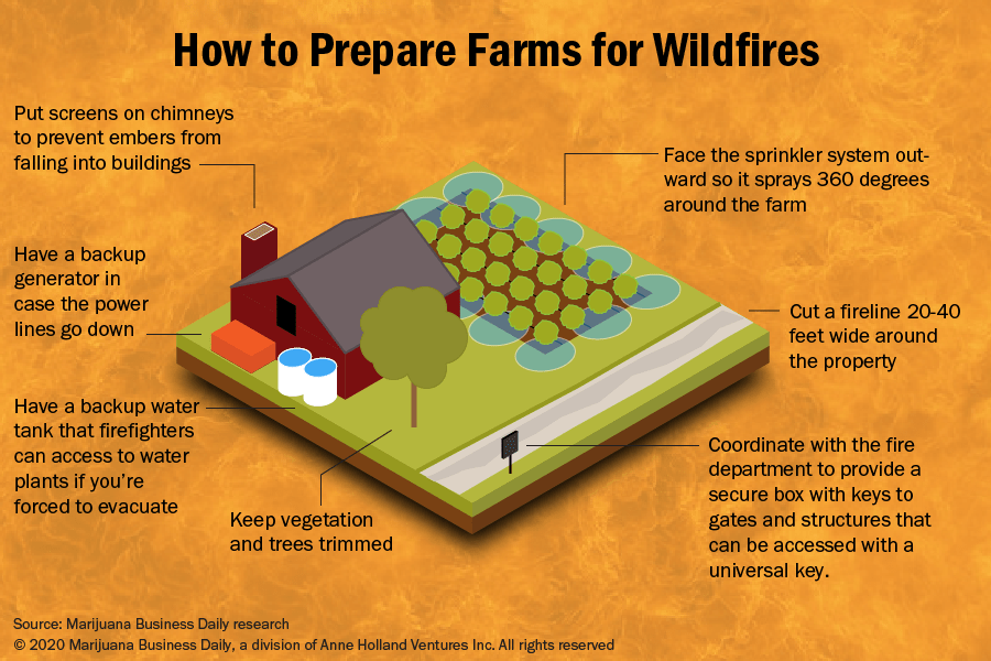 6 ways hemp growers can defend their farms against wildfires