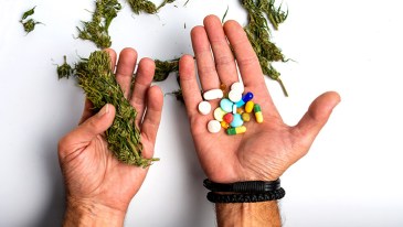 Marijuana vs. Pills