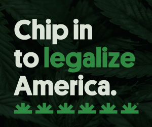 Major Changes to Cannabis Law Take Effect Around the U.S.
