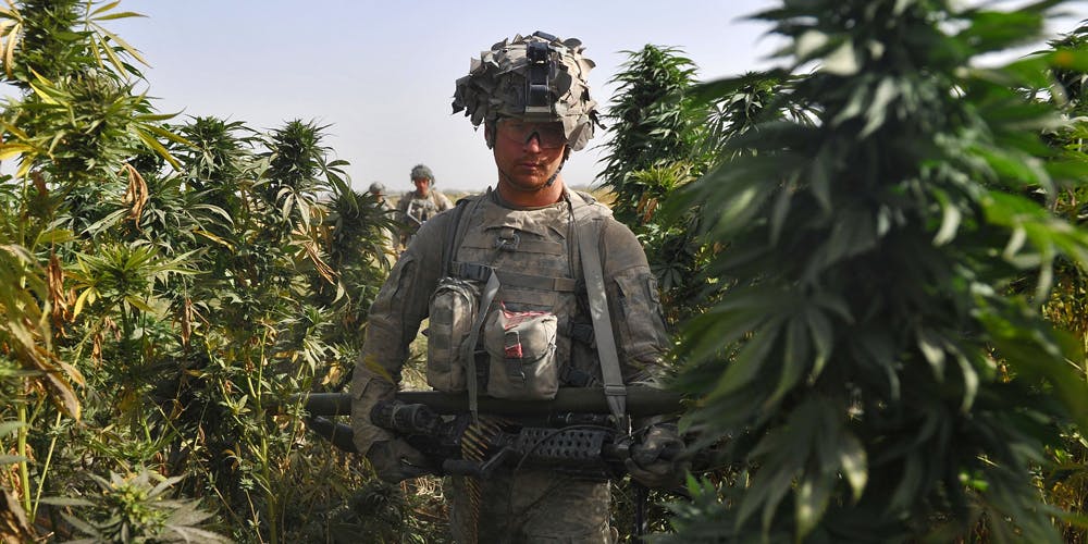 Cannabis Testing In The Military May Soon Be Coming To An End