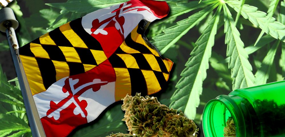 Maryland On Pace for $1.1 Billion in Marijuana Sales in 2024